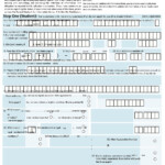 Fafsa PSLF Form